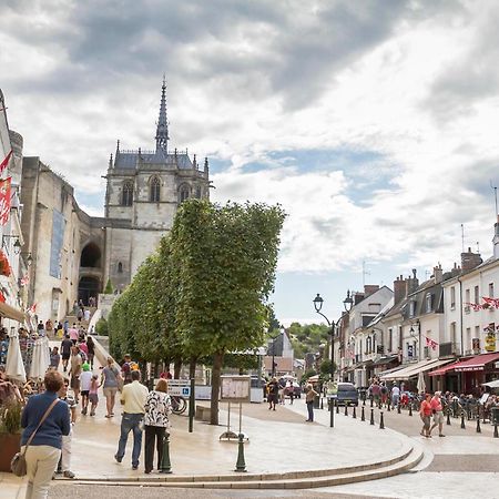 Terrasse Sur La Tour Garconnet Leilighet Amboise Eksteriør bilde