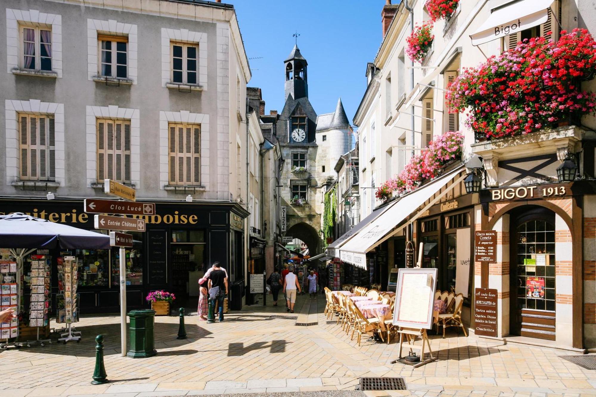Terrasse Sur La Tour Garconnet Leilighet Amboise Eksteriør bilde